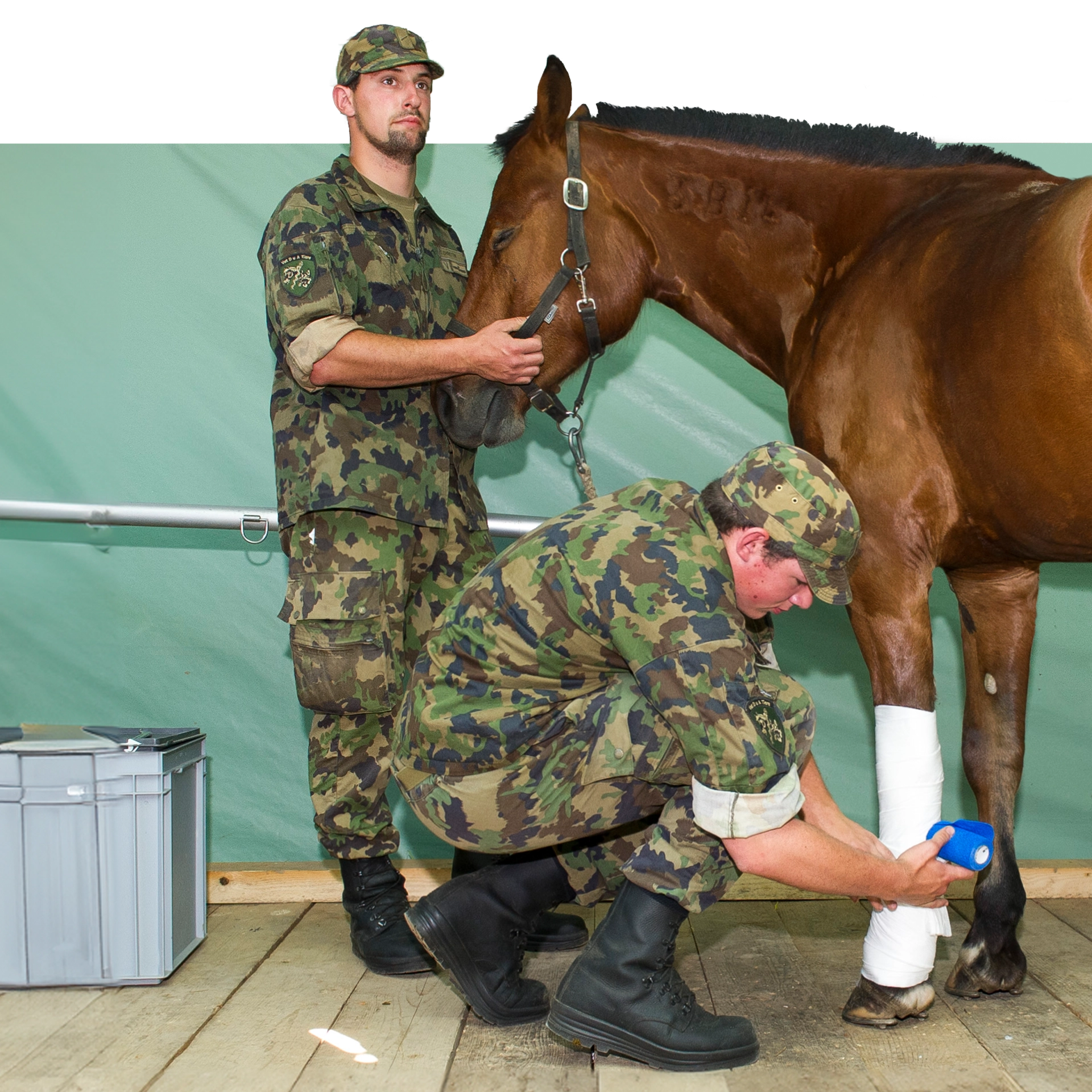 Veterinärsoldaten verarzten ein Pferd